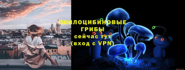 крисы Волоколамск
