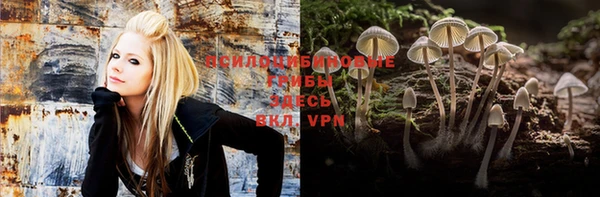 крисы Волоколамск