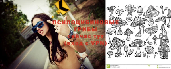 крисы Волоколамск