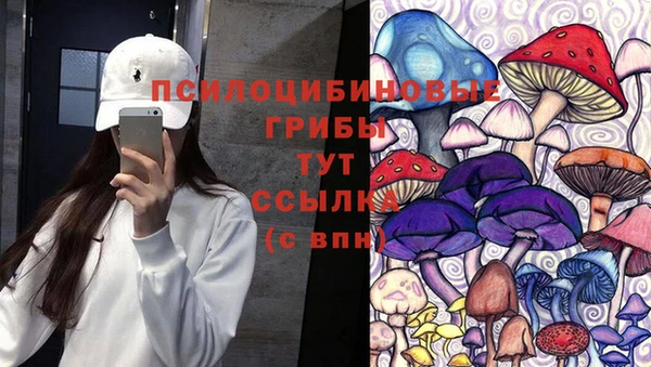 крисы Волоколамск