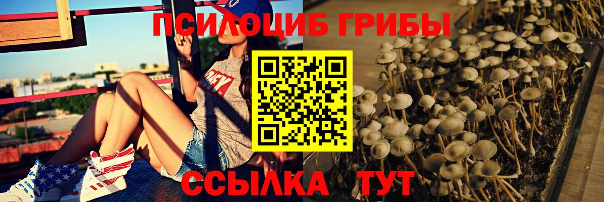 Псилоцибиновые грибы GOLDEN TEACHER Назарово